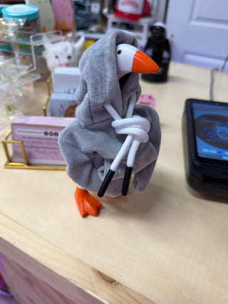 Desk Goose + Clothes