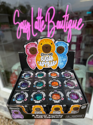 Scrunchems® Sugar Capybara Squishy Fidget Toy