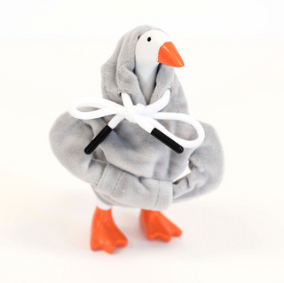 Desk Goose + Clothes