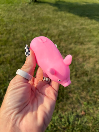 Cracking Pig Squishy