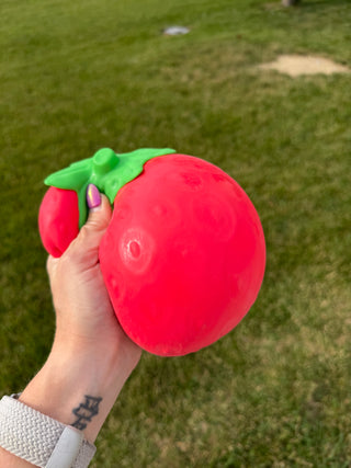 Jumbo Strawberry Squishy