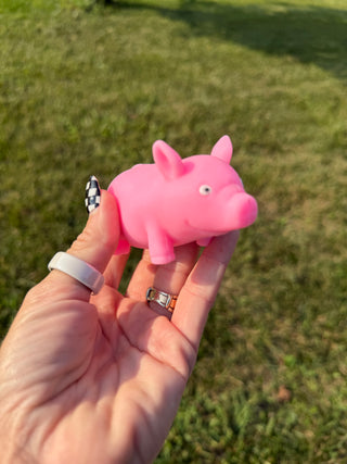 Cracking Pig Squishy