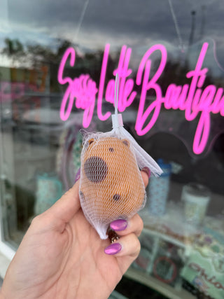 Capybara Squishy