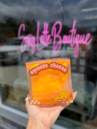 BIG Cheese Squishy
