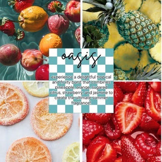 TOUCH & GO LUXE HAND SANITIZER MIST