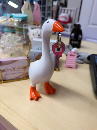 Desk Goose + Clothes