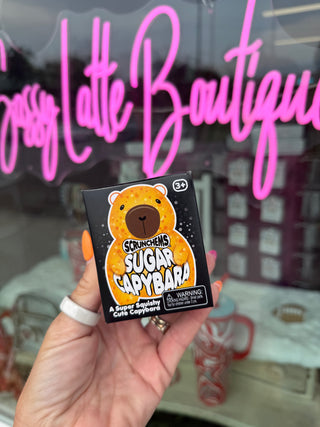 Scrunchems® Sugar Capybara Squishy Fidget Toy