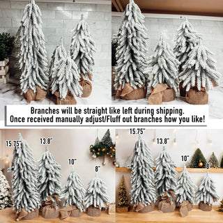 Snow Topped Christmas Trees With Wood & Jute Base