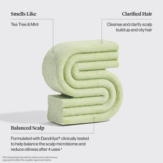 Tea Tree & Mint Clarifying Shampoo & Conditioner Bar Combo