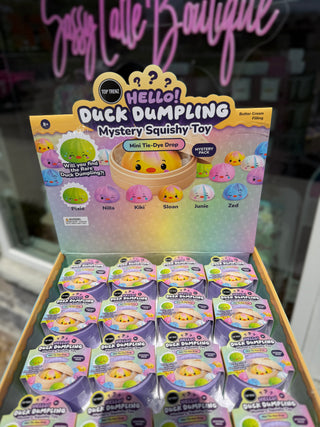 Hello Duck Dumpling  - Mystery Mini Tie-Dye Edition