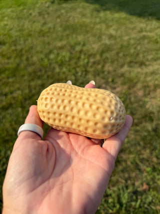 Cracking Peanut Squishy