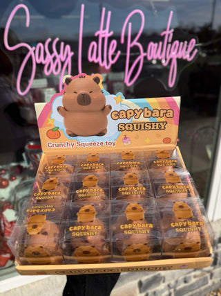 Crunchy Capybara Squishy