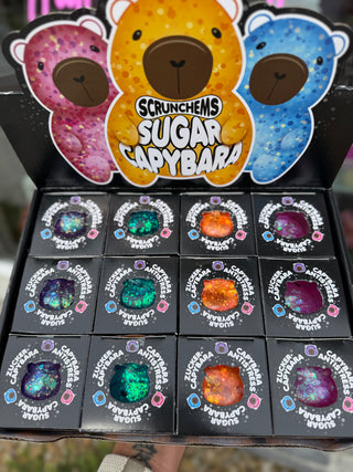 Scrunchems® Sugar Capybara Squishy Fidget Toy