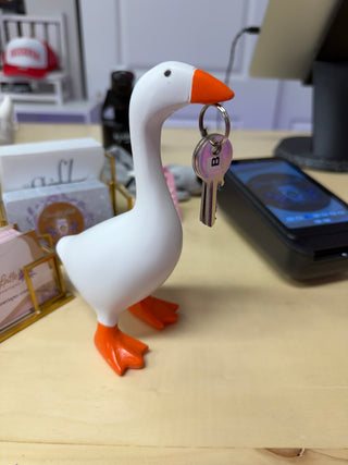 Desk Goose + Clothes