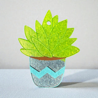 Sweet Succulent Freshie