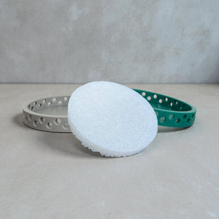 Spring  Freshie Tray Insert