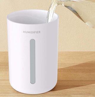Portable Humidifier