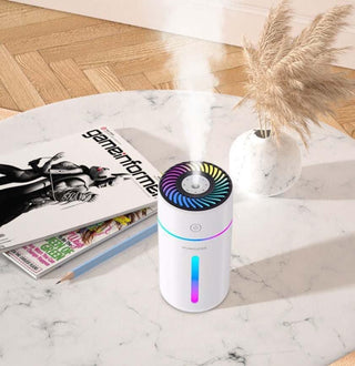 Portable Humidifier