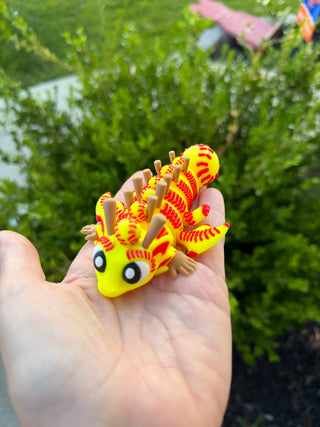 Softball Dragon Hatchlings