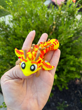 Softball Dragon Hatchlings