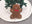 Gingerbread Man