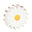 White Daisy