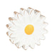 White Daisy