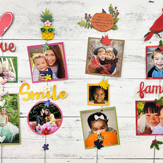 Cardinal on Berry Branch Magnet