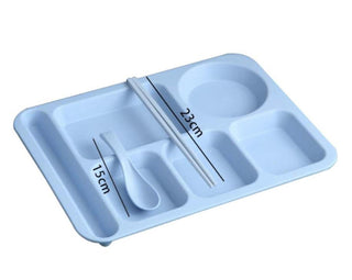 Divided Trays