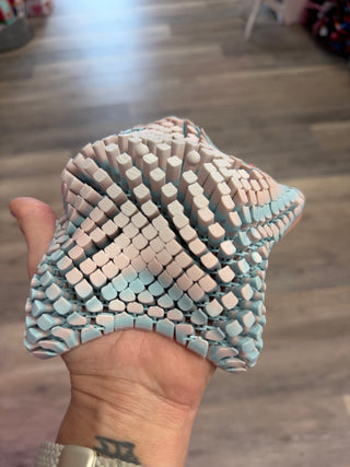 3D Printed Flexi Starfish ⭐🌊