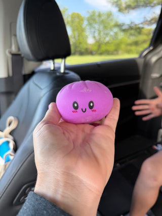 Mystery Squishy Dumplings