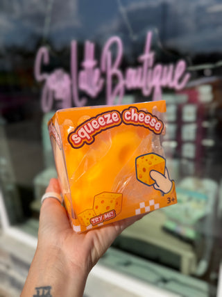 BIG Cheese Squishy