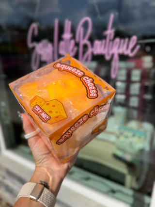BIG Cheese Squishy