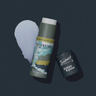 The Landmark Project Lip Balms