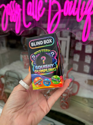 Fun Doh BLIND BOX Squishy Steamer Dumpling