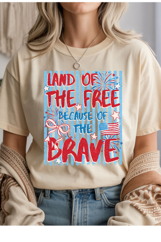 Land Of The Free Graphic Tee