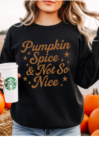Pumpkin Spice & Not So Nice Sweatshirt