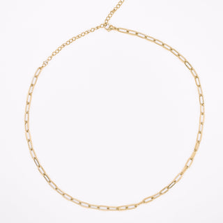 Resort - Classic Paperclip Chain Necklace - SS & WR