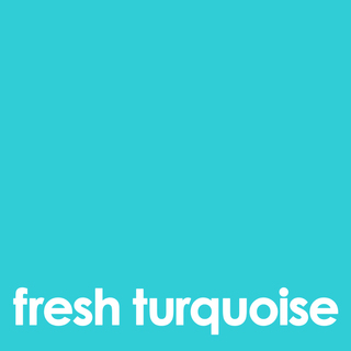 Fresh Turquoise | MakeUp Eraser