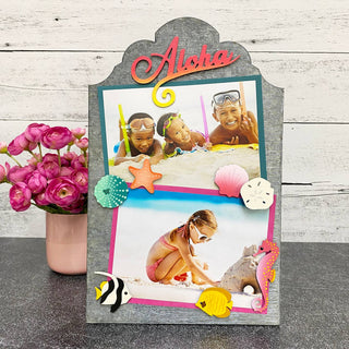 Seashell Magnets Set of 4