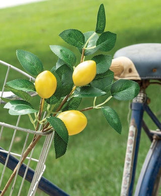 Fresh Picked Lemon Sprays