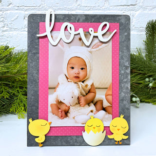 Baby Chick Magnets Set of 3