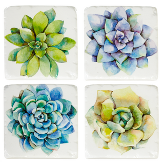 Succulent Coaster (4 pc. set)