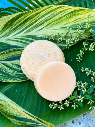 Dirty Bee Conditioner Bar