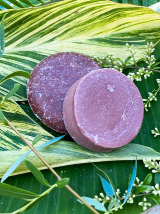 Dirty Bee Shampoo Bar