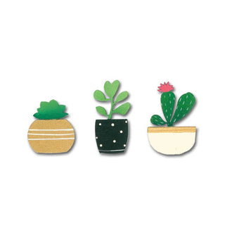 Succulent Magnets Set of 3