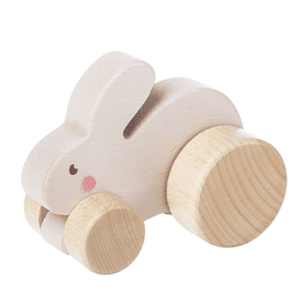 Bunny Push Toy