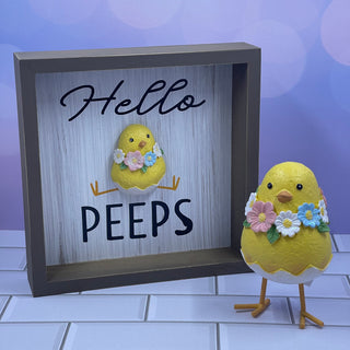 Pebble Chick Box Plaques