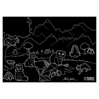 Chalkboard Animals Placemat - Set of 4