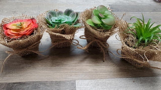 Burlap Succulent